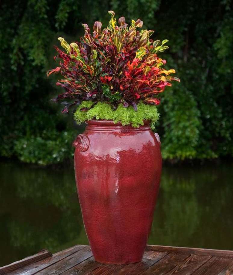 8. O vaso vietnamita vermelho com plantas lindas – Por: Pinterest