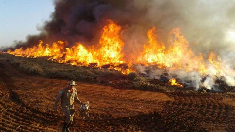 O número de focos de incêndio e de alertas de desmatamento cresceu - mas o Ibama diminuiu o ritmo das multas. Na foto, uma queimada no Mato Grosso do Sul