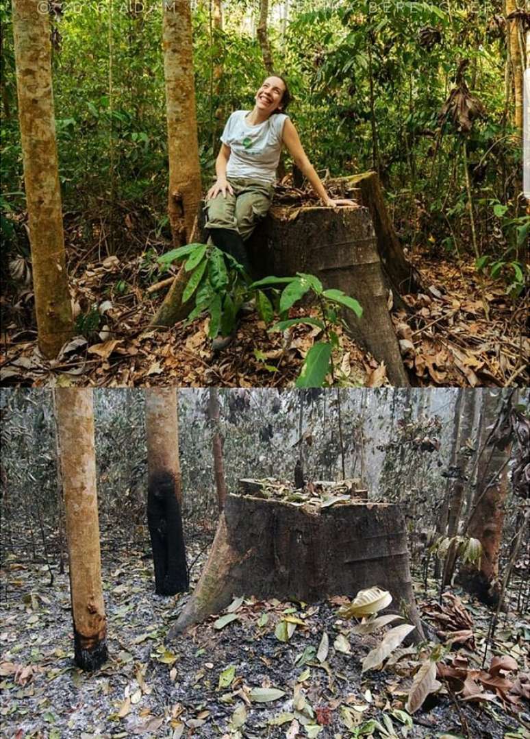 Pesquisadora da Universidade de Oxford, a brasileira Erika Berenguer estuda os efeitos do fogo na região amazônica