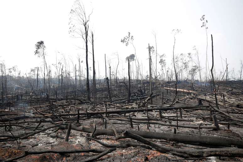 Porto Velho, Brasil 23/08/2019. REUTERS/Ueslei Marcelino  