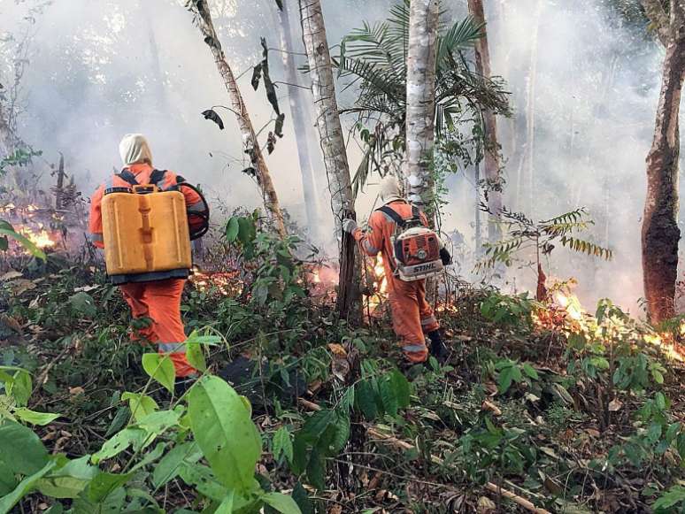 Houve aumento de mais de 80% nos focos de incêndio na Amazônia em comparação com 2018, segundo o Instituto Nacional de Pesquisas Espaciais (Inpe)