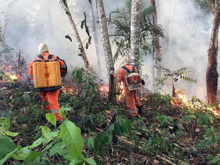 Houve um aumento de 84% nos focos de incêndios florestais em comparação com o ano passado