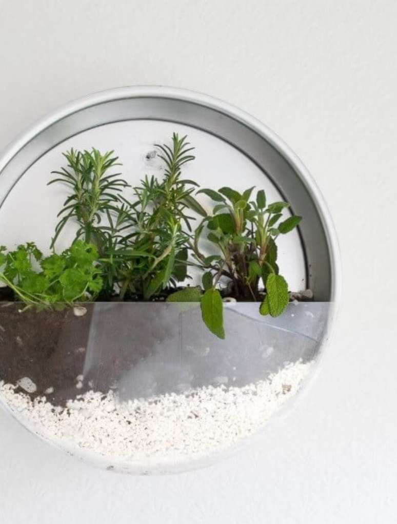 23. Horta caseira em terr&aacute;rio. Foto de OBSiGeN