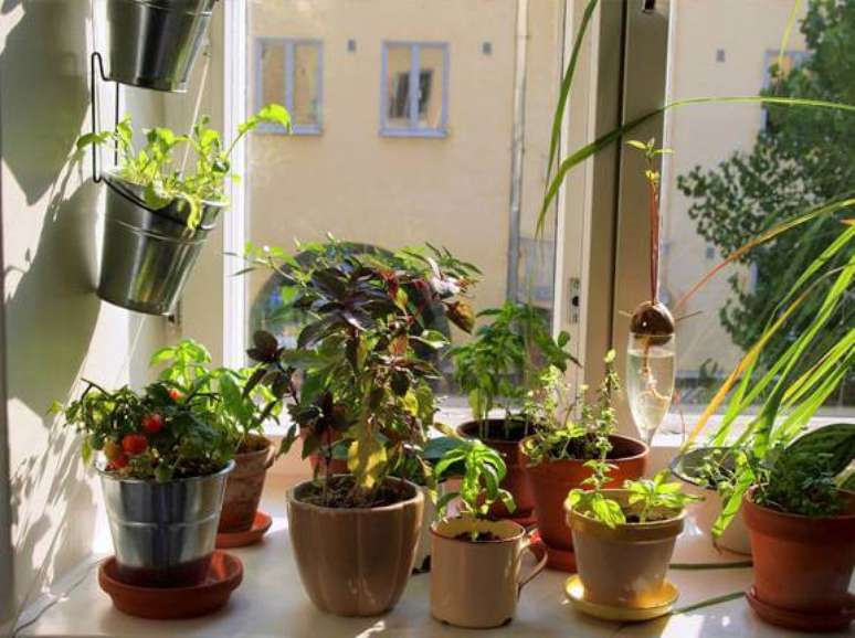 39. Horta em casa em v&aacute;rios vasinhos diferentes. Foto de Roofing Brooklyn