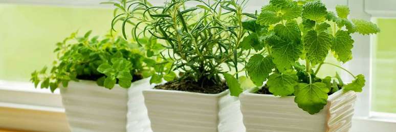1. Vasos de plantas com temperos são perfeitos para fazer sua primeira horta em casa, para a decoração e para o uso no dia a dia