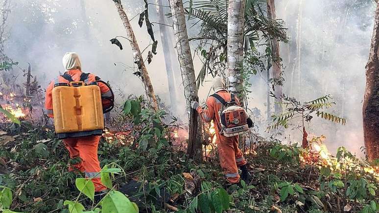 De janeiro a 19 de agosto, quantidade de focos de incêndio no Brasil é 83% maior que no ano passado, segundo o Inpe