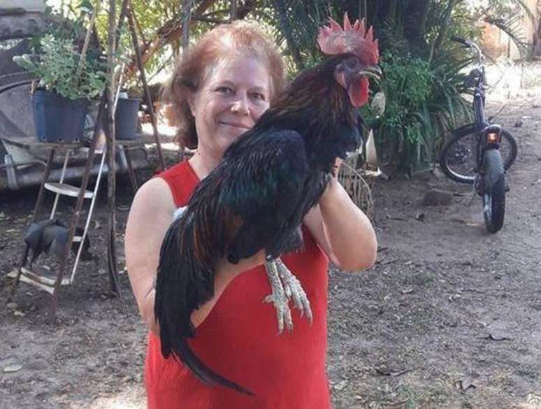 Dona Dora aumentou em um metro a altura do muro que separa as propriedades e transferiu os galos para uma área mais distante