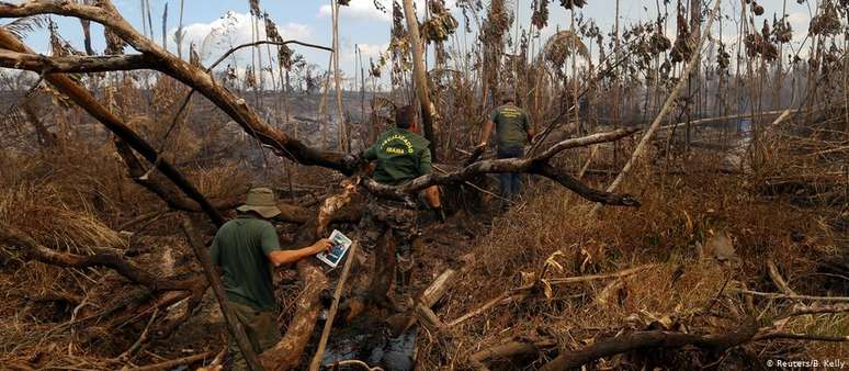 Agentes do Ibama em operação no Amazonas, em 2017