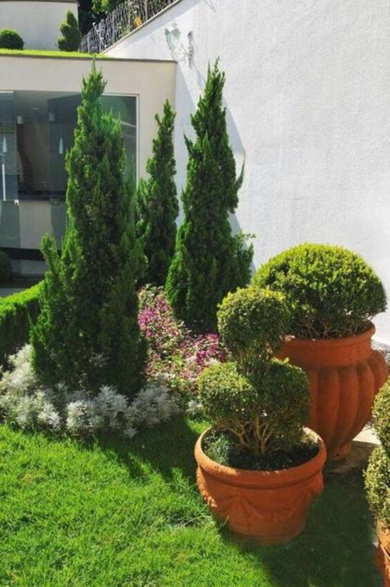 44. Um bom Kaizuka se destaca pela harmonização com outras plantas. Foto: eh!DÉCOR