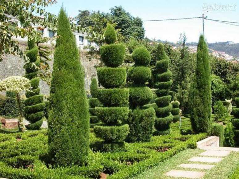 46. O Kaizuka sempre se destaca em um jardim. Foto: ehDÉCOR