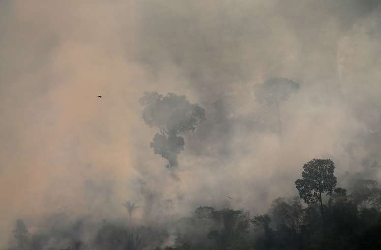 Fogo na Floresta Amazônica perto de Porto Velho 29/8/2019 REUTERS/Ricardo Moraes