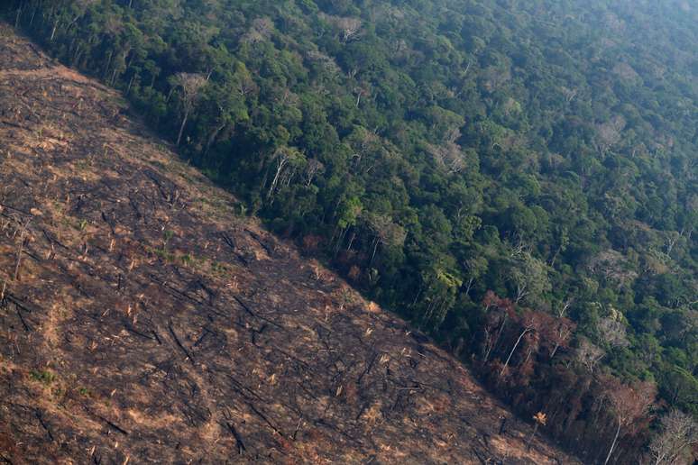 Vista a&eacute;ra da Floresta Amaz&ocirc;nica perto de Porto Velho 29/8/2019 REUTERS/Ricardo Moraes