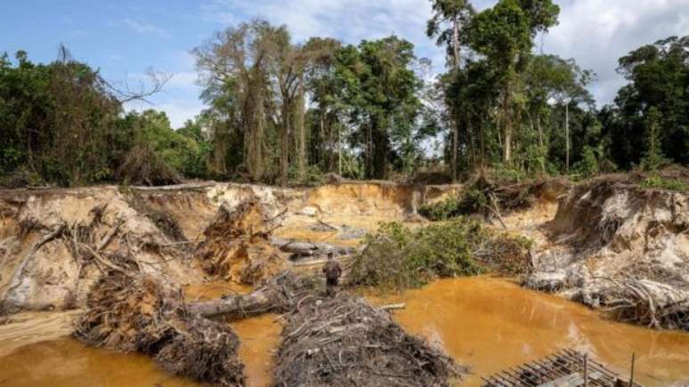 Garimpo ilegal deixa rastro de desmatamento e contaminação por mercúrio