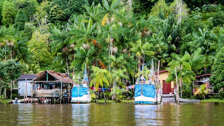 Região amazônica na Guiana Francesa; ao longo da história, ocupação no território se deu na costa, deixando áreas de floresta ao sul mais intocadas