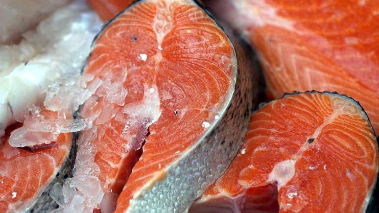 Os pescados são recomendáveis à saúde, porém a composição nutricional dos peixes criados em cativeiro depende da ração que é fornecida, diz especialista