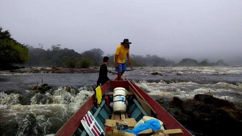 Partindo da cidade de Laranjal do Jari, uma equipe de 30 pessoas percorreu um trajeto de aproximadamente 220 km por rio e 10 km por terra até localizar a árvore mais alta da Amazônia