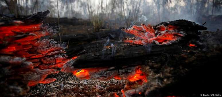 Queimadas atraíram atenção internacional à Amazônia