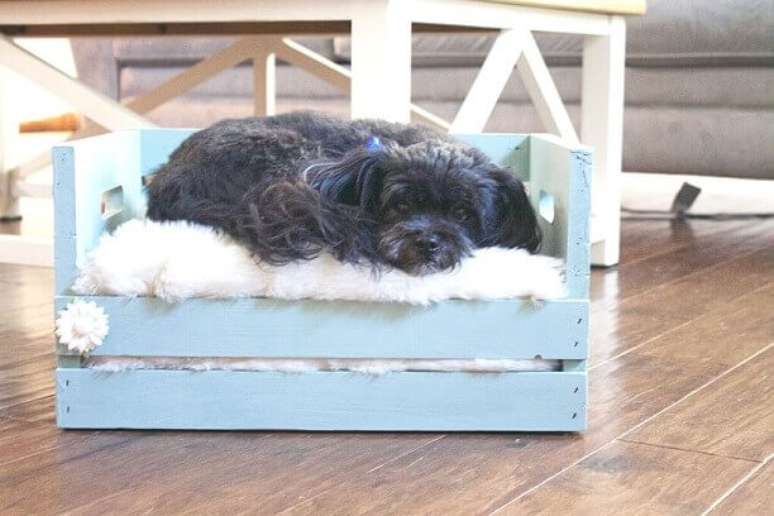 39. Decoração com caixotes de madeira adaptadas para virar cama de cachorro. Foto de Pinterest