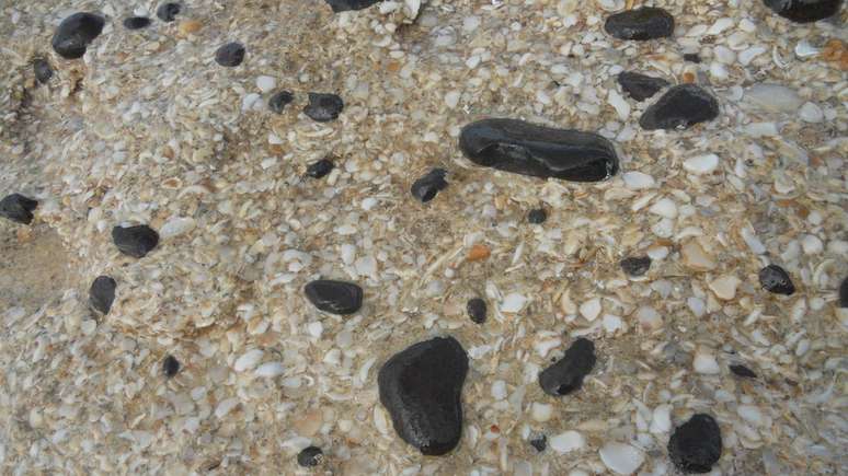 O naturalista descreveu as beachrocks na praia de Jaconé