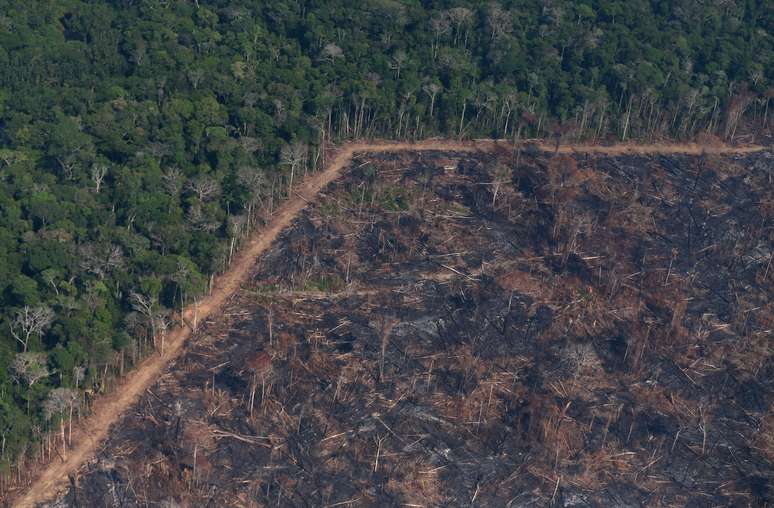 Vista aérea de trecho da Amazônia atingido por queimadas
29/08/2019
REUTERS/Ricardo Moraes 