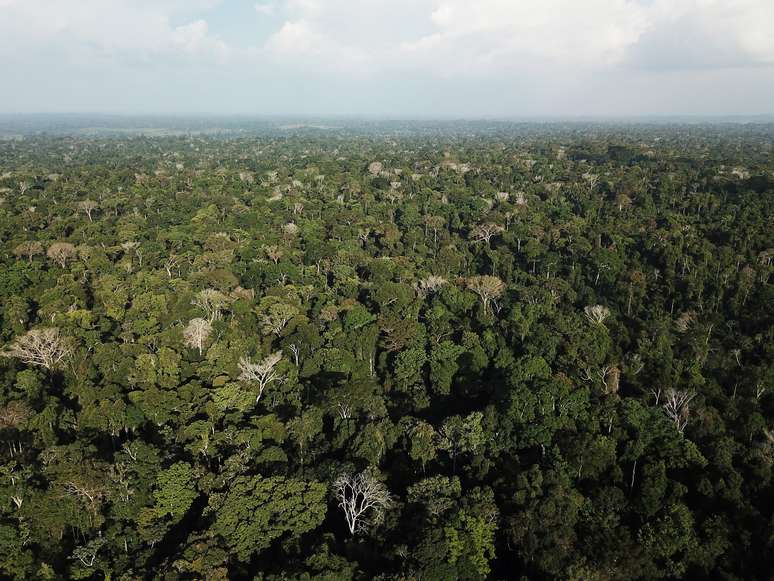 Vista aérea da Amazônia perto de Altamira, no Pará
28/08/2019 REUTERS/Nacho Doce