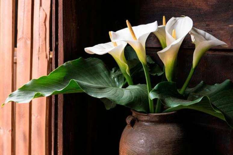 23. Escolha vasos que combinem com a decora&ccedil;&atilde;o do seu copo de leite &ndash; Por: Pinterset