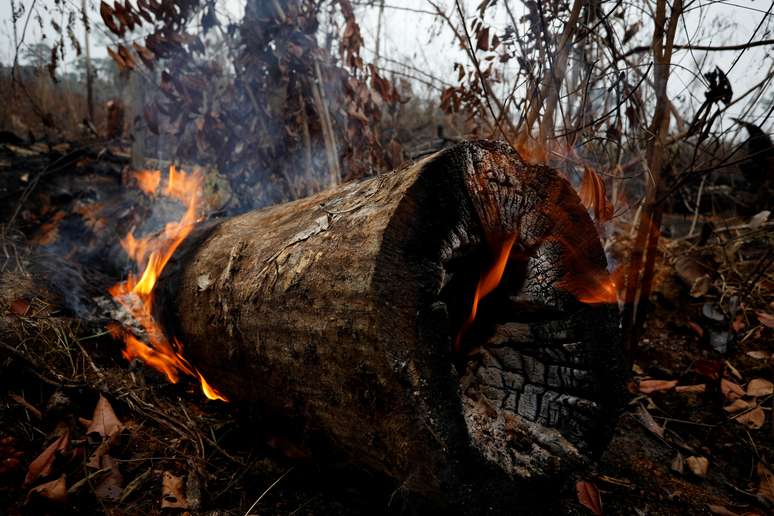 Incêndio na floresta amazônica em Apuí, no Estado do Amazonas
05/09/2019
REUTERS/Bruno Kelly