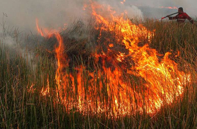As florestas na Indonésia também estão ameaçadas por incêndios sazonais