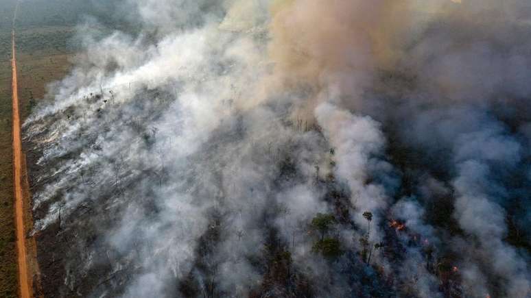 Especialistas acreditam que a maioria dos incêndios no Brasil neste ano foi causada pela atividade humana