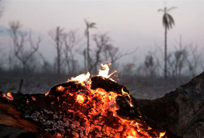 Tronco de árvore em chamas em área de conservação ambiental da Bolívia
29/08/2019
REUTERS/David Mercado