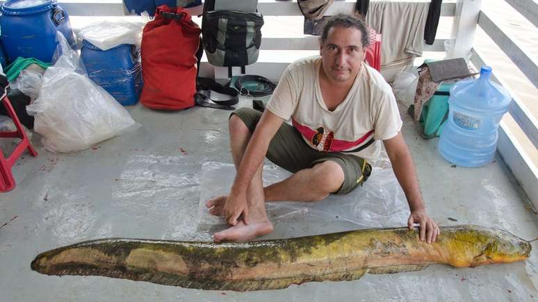Carlos David de Santana chegou a tomar choque capturando poraquês, que podem ter mais de 2 m de comprimento; esse espécime de poraquê será levado ao Museu Natural de História Natural em Washington