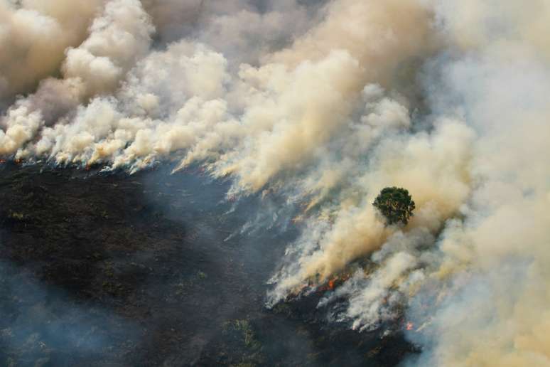 Incêndio florestal perto de Banjarmasin, na Indonésia
29/08/2019
Antara Foto/Bayu Pratama S/via REUTERS