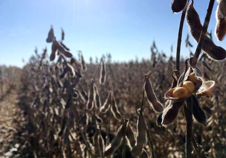 31/01/2019. REUTERS/Jos&eacute; Roberto Gomes
