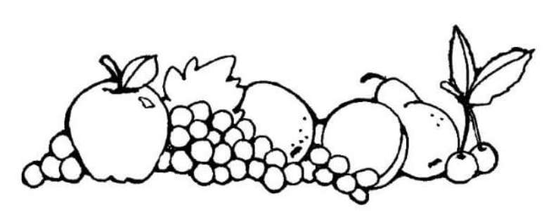 3. Os riscos para pintura em pano de prato frutas s&atilde;o os mais f&aacute;ceis. Aposte neles! &ndash; Por: Pinterest