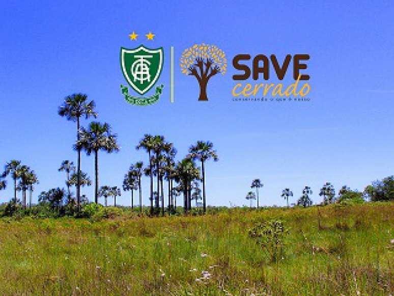 América-MG tem ação inovadora em prol do meio ambiente brasileiro- (Divulgação/América-MG)