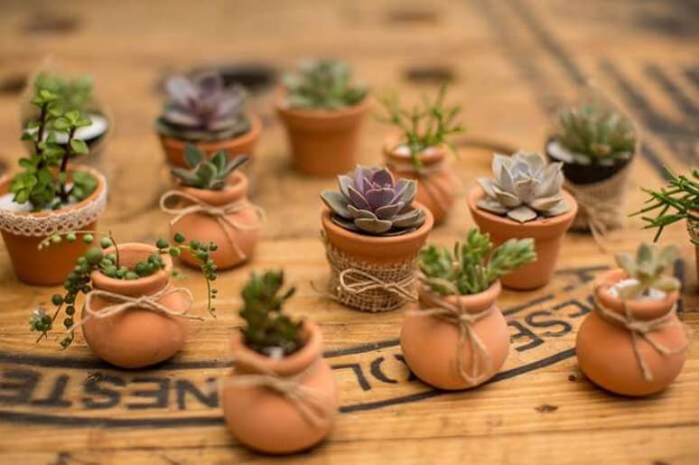 12. Distribua suculentas como lembrancinha Ch&aacute; Bar. Fonte: Bela Suculenta