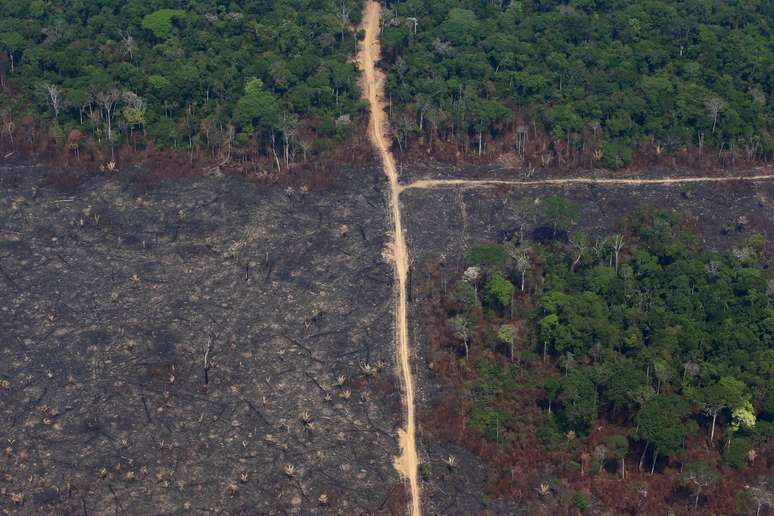 Trecho desmatado da floresta amazônica perto de Novo Progresso, no Pará
11/09/2019
REUTERS/Amanda Perobelli