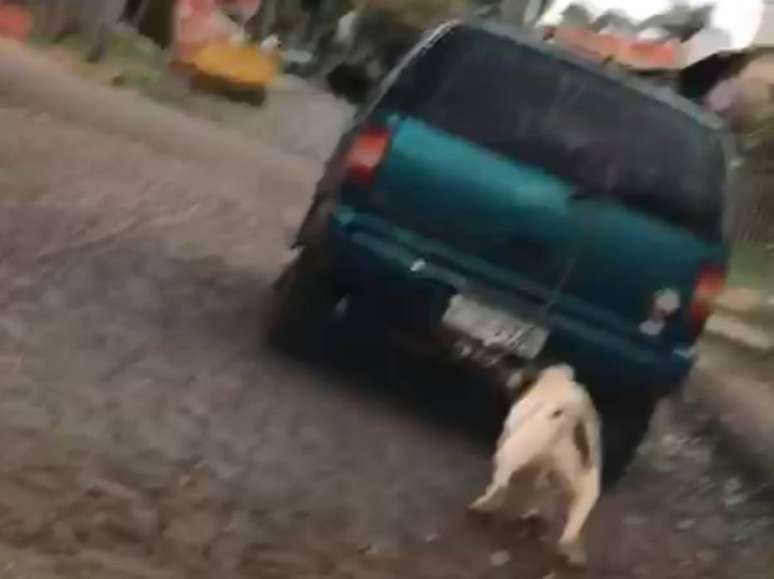 O registro do cachorro amarrado sendo arrastado por um carro foi feito por uma motorista em Ijuí, no Rio Grande do Sul