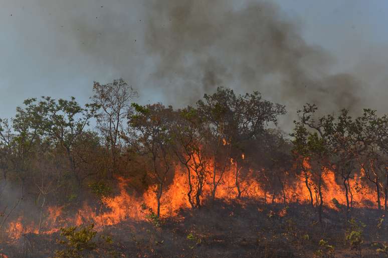 Incêndio na floresta amazônica em Água Boa, no Estado do Mato Grosso
04/09/2019
REUTERS/Lucas Landau
