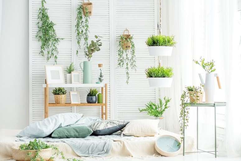 17. Decora&ccedil;&atilde;o clean para ambiente com v&aacute;rios vasos de plantas &ndash; Foto: Habitissimo