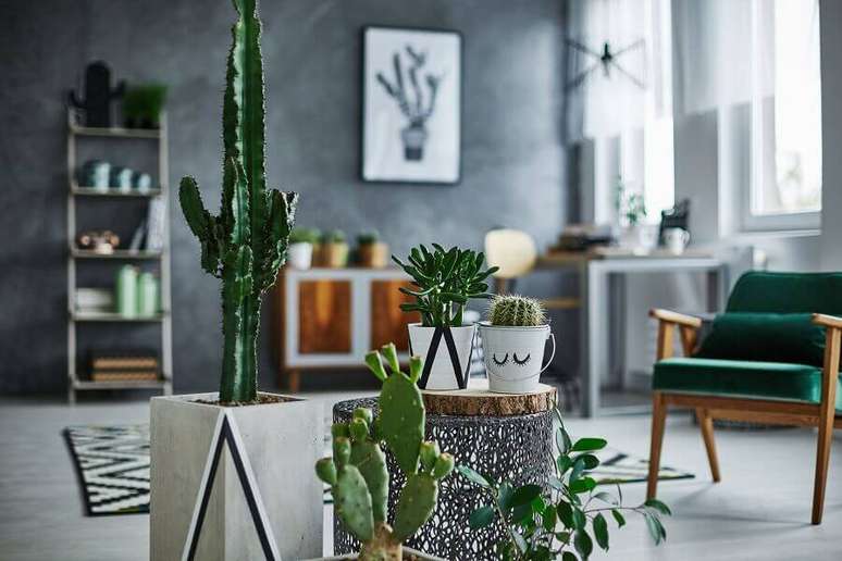 18. Decoração para sala moderna com cimento queimado e vasos de cactos – Foto: Habitissimo