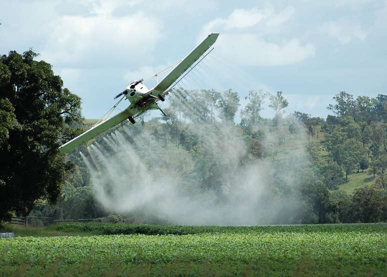 Pulveriza&ccedil;&atilde;o de agrot&oacute;xicos por avi&otilde;es pode afetar abelhas que habitem florestas vizinhas &agrave;s planta&ccedil;&otilde;es