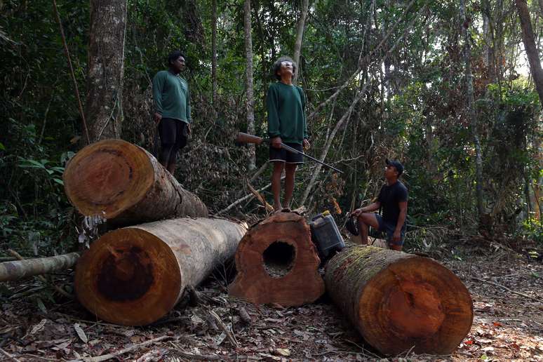 Indígenas sobre troncos que, segundo eles, foram abandonados por madeireiros perto de Novo Progresso, no Pará
13/09/0291
REUTERS/Amanda Perobelli