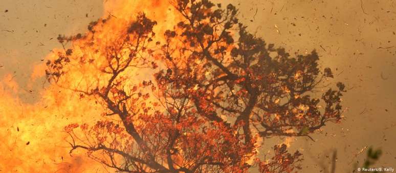 Segundo a Human Rights Watch, ação de redes criminosas impulsiona o desmatamento e as queimadas na Amazônia
