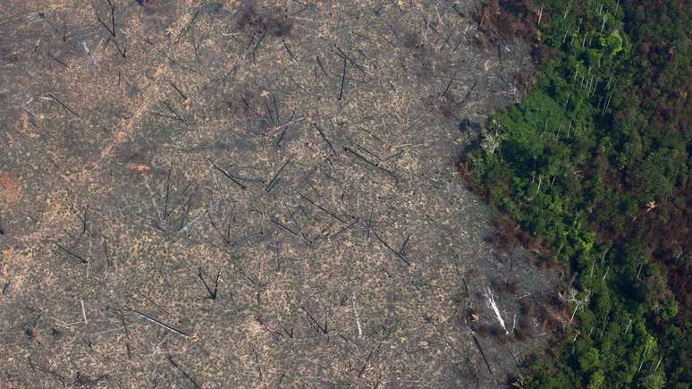 Em junho e agosto, o desmatamento da Amazônia cresceu 203% em relação ao mesmo período do ano passado, segundo o Inpe.