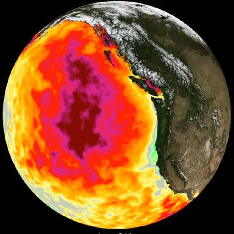 Em 2015, os satélites registraram um aquecimento incomum do Oceano Pacífico na costa oeste dos Estados Unidos.