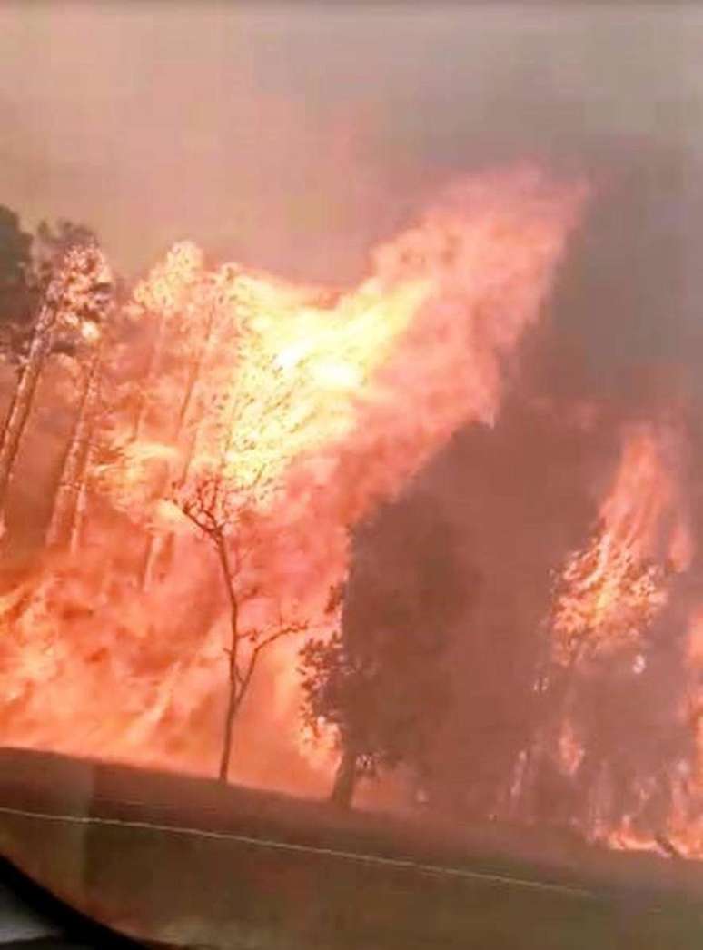 As chamas de uma queimada atingiram dez metros de altura e a fumaça cobriu a rodovia Washington Luís, em Matão, interior de São Paulo.