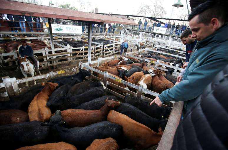 Gado no mercado de Liniers, em Buenos Aires 
27/08/2019
REUTERS/Agustin Marcarian