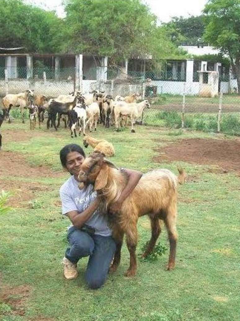 Shiranee tem uma fazenda de 38 mil metros quadrados em que abriga todos os animais que resgata.