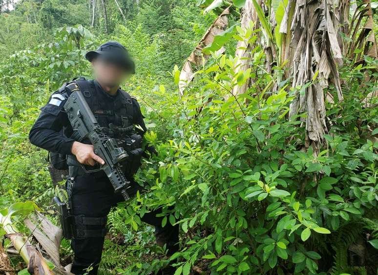 Policial da Guatemalar durante operação para desmantelar lanoratório de cocaína
19/09/2019
Polícia Civil Nacional/Divulgação via REUTERS